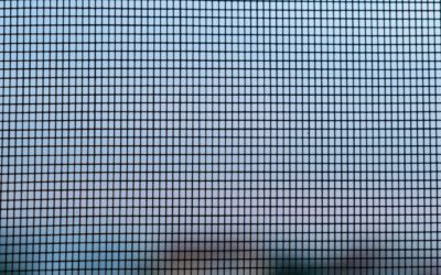 Benefits of Adding a Fly Screen to Your Window